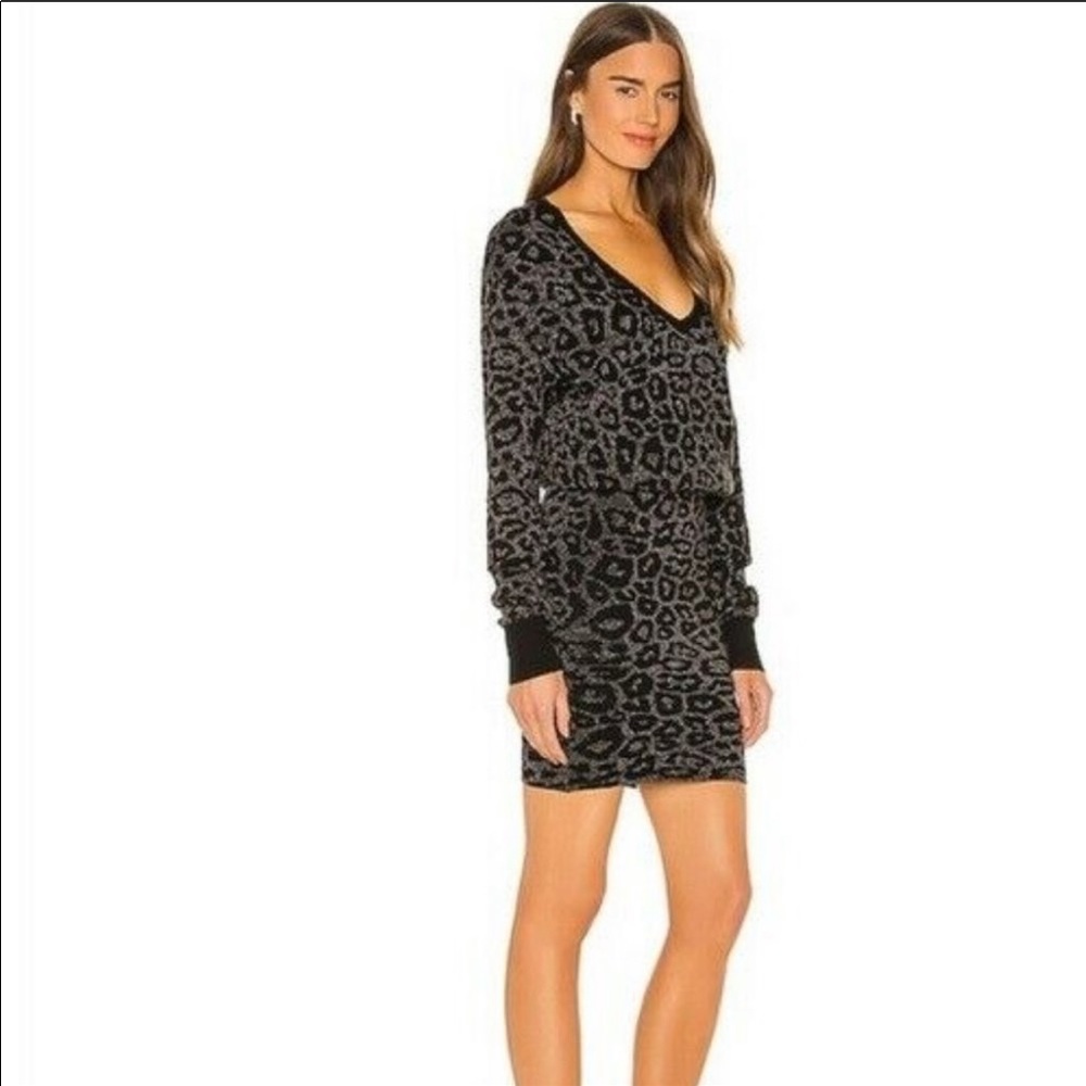 COPY - AllSaints Roxanne Dress
